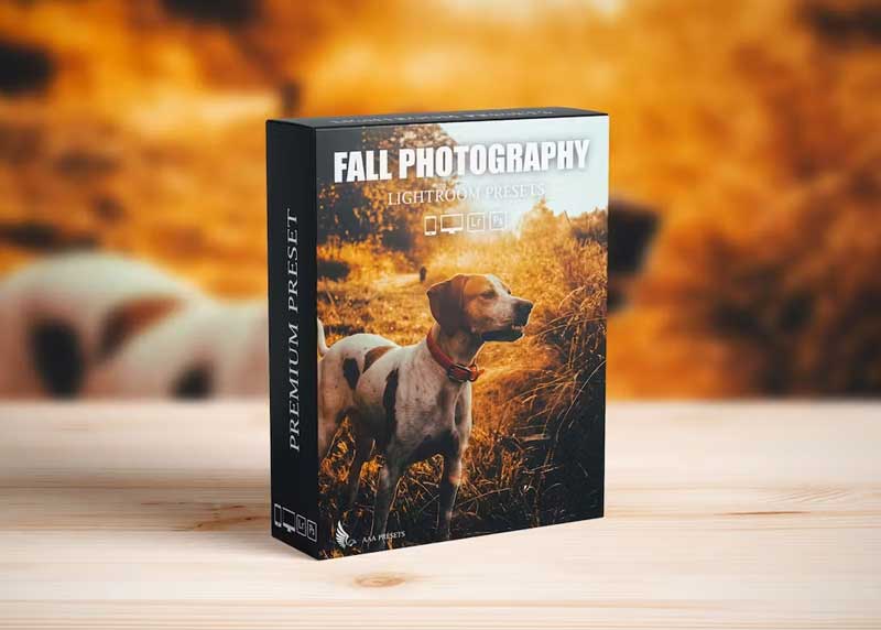 Autumn Fall Presets for Lightroom Mobile & Desktop YZAPAL7