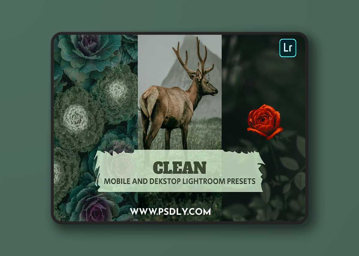 Clean Lightroom Presets Dekstop and Mobile MLG8FV4