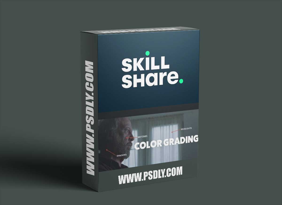 Color Grading: Introduction with a Pro Colorist