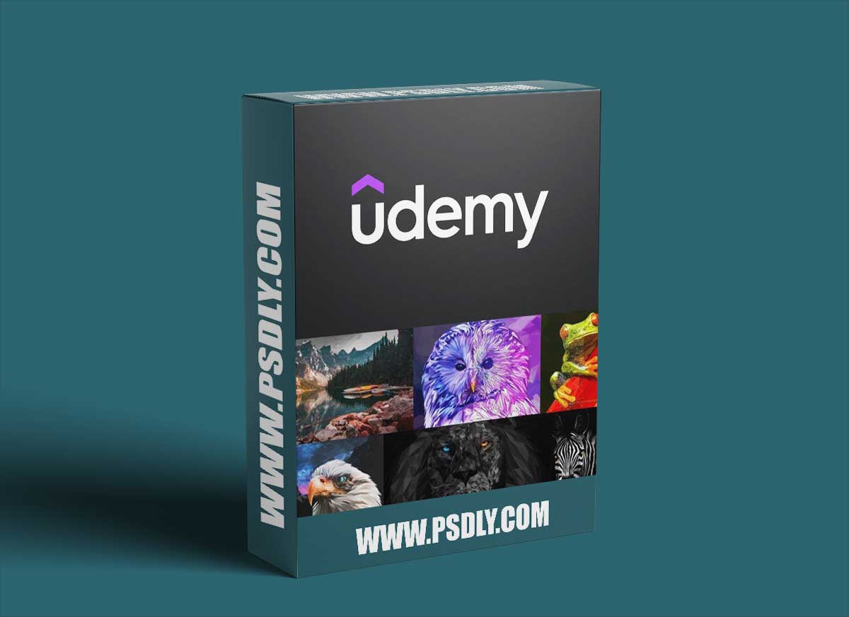 Learn to create amazing 2D Polyartworks!