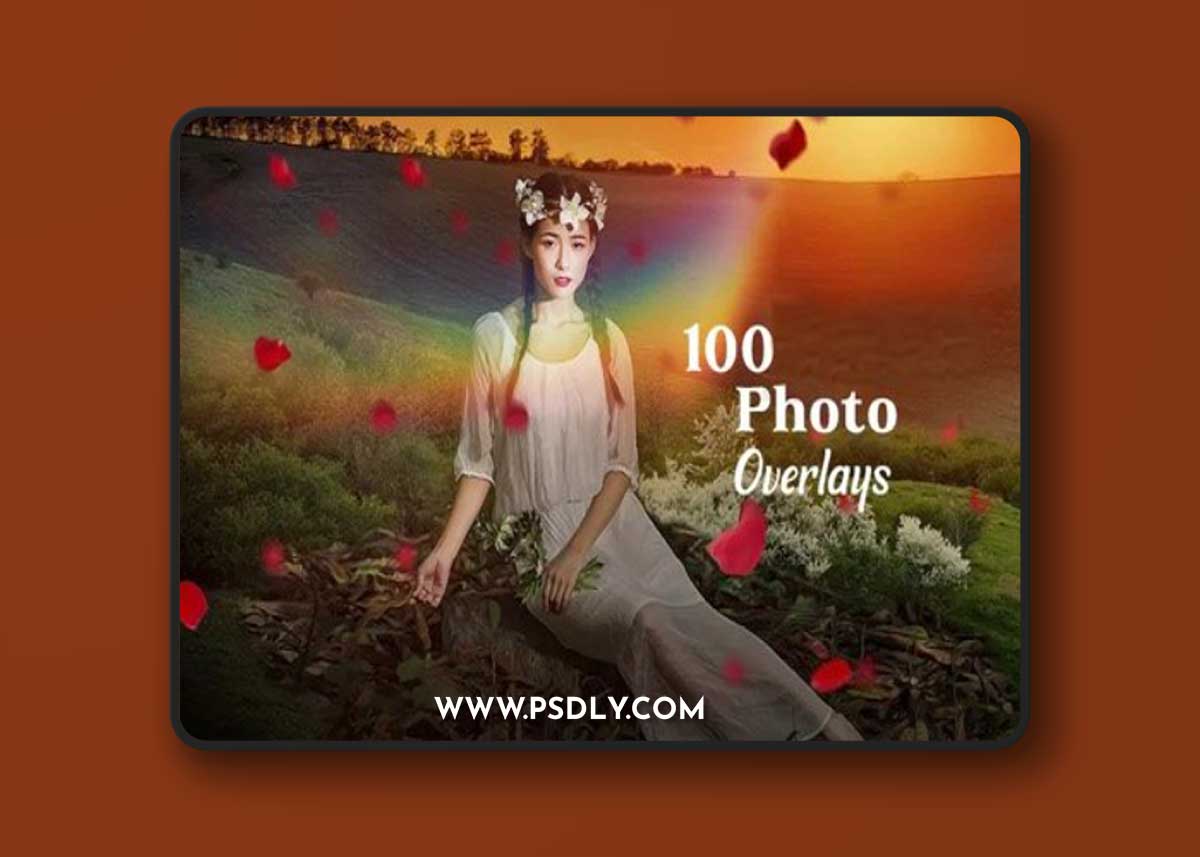 Light Bokeh & Red Petals Photoshop Overlays Collection