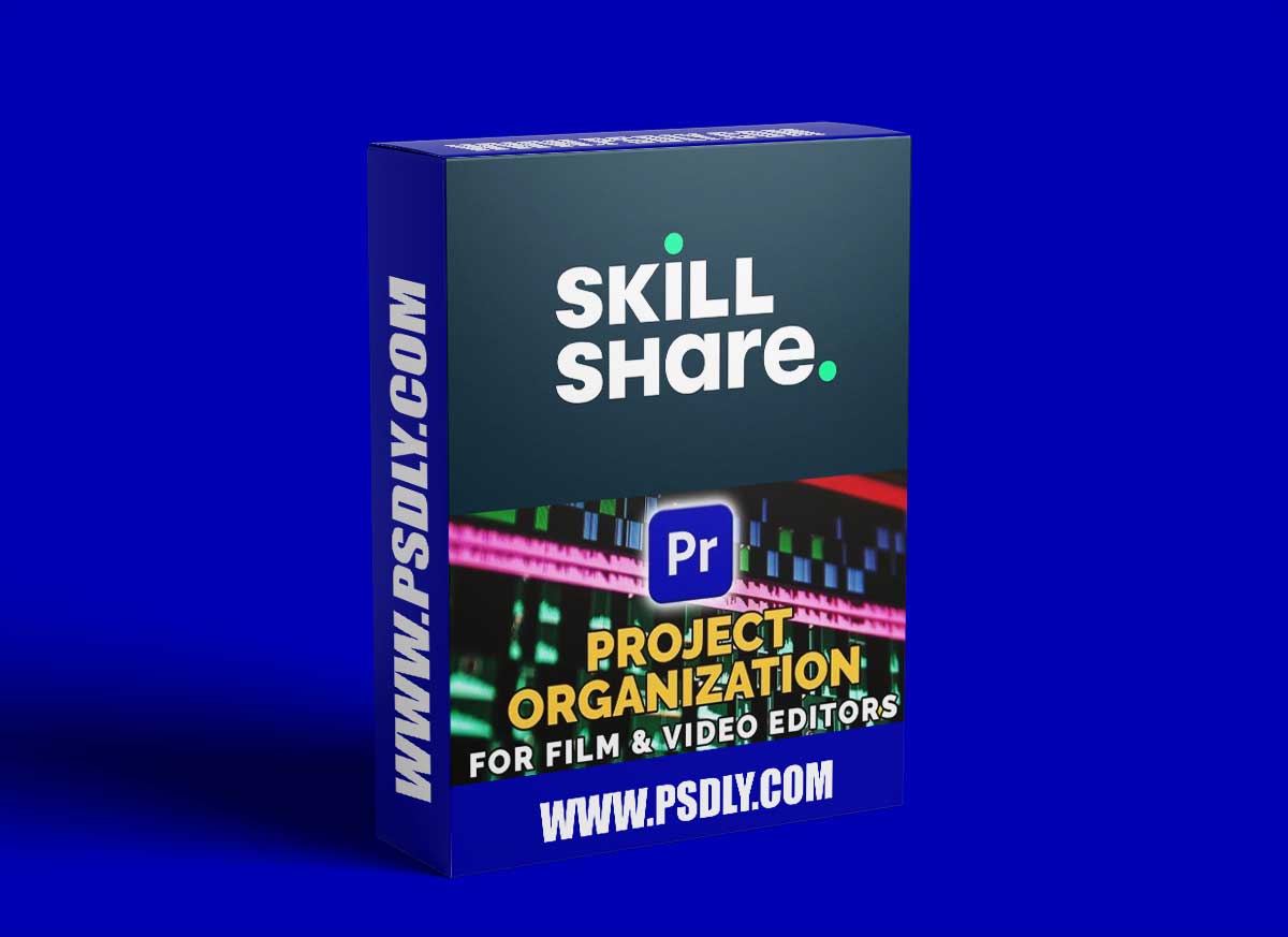 Project Organization in Film & Video Editing