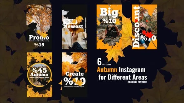 Videohive Autumn Instagram Stories 47859896