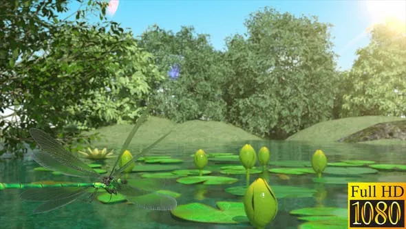 Videohive Lilies and Dragonfly 40026892