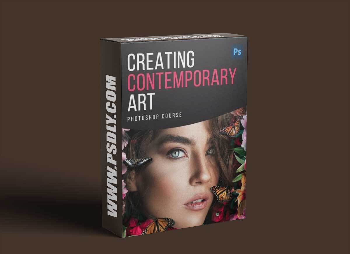 Zenja Gammer - Creating Contemporary Art