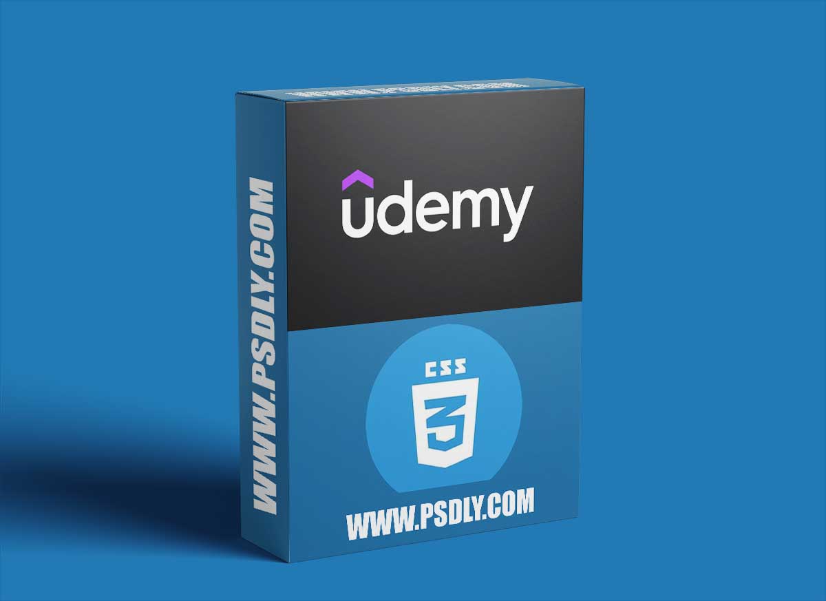 CSS Fundamentals: Comprehensive Training for Web Developers