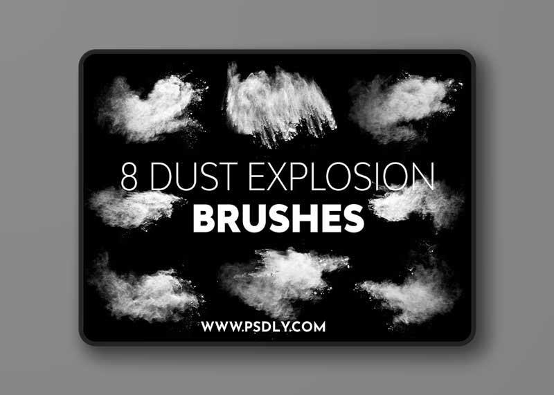 Dust Explosion Brushes WR4UXRV