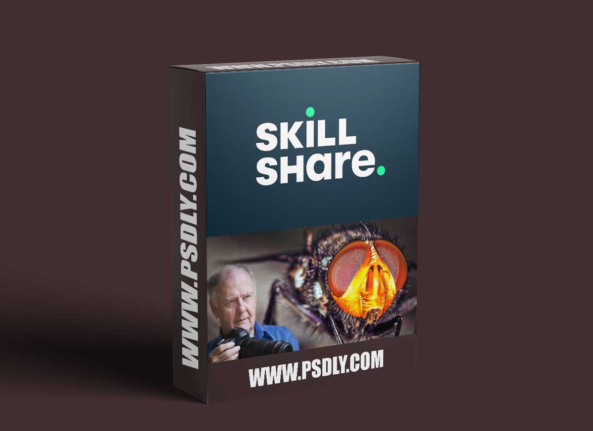 Macro Photography and Focus Stacking Made Easy