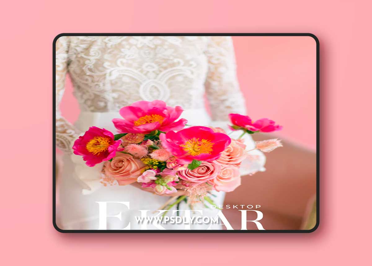 REFINED - Ektar Presets