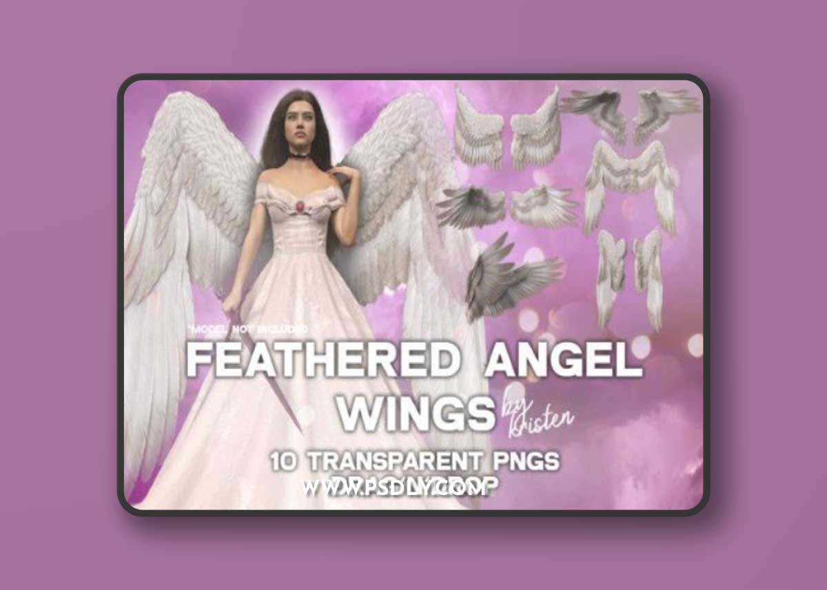 10 3D Angel Wings Photo Overlay PNGs