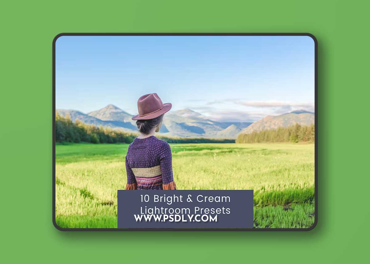 10 Bright & Cream Lightroom Presets