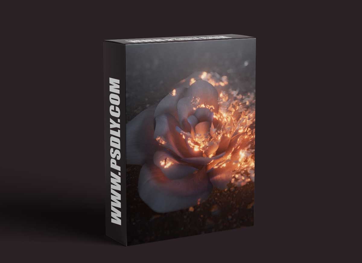 Gumroad - Ash Disintegration: Houdini & Nuke VFX Course