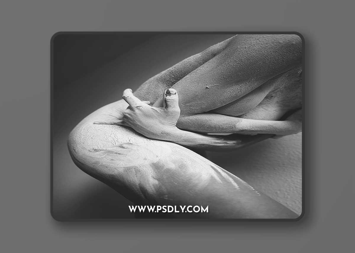 The Classic Presets - Being Trägi