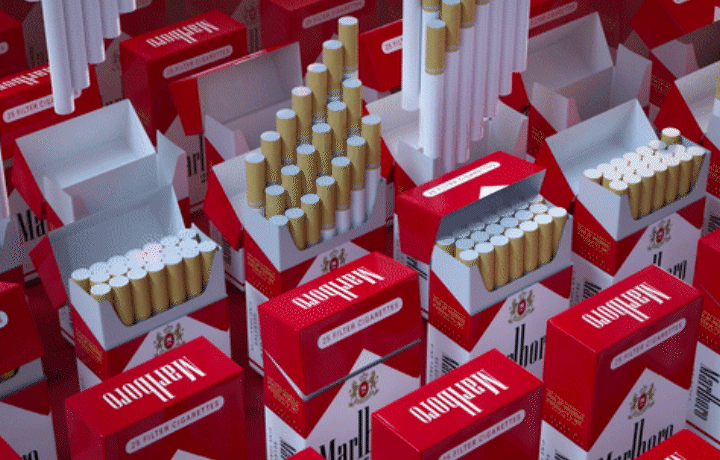 us media ali portfolio04 1