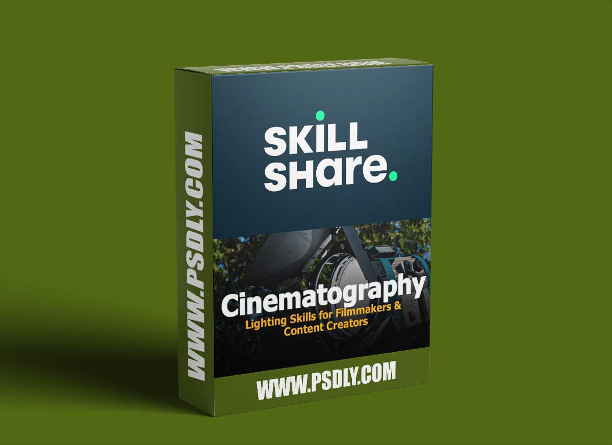 Cinematography Lighting Skills for Filmmakers & Content Creators
