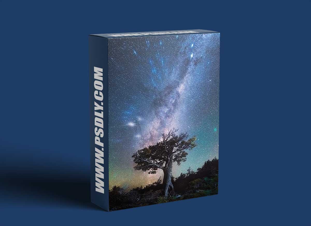 Daniel Kordan Photography - Patagonia Night Sky Panorama Baobab