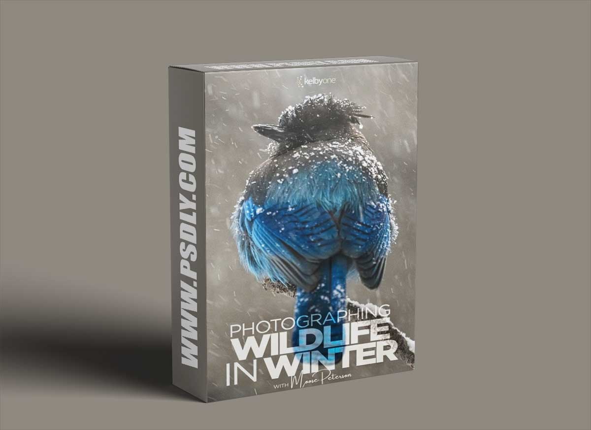 KelbyOne - Photographing Wildlife in Winter