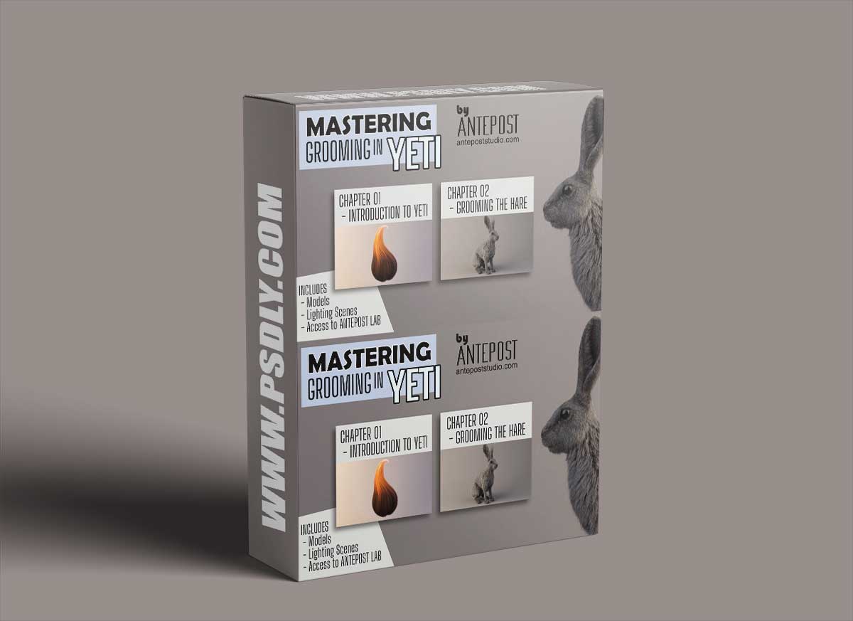 MASTERING GROOMING IN YETI - GROOM COURSE IN MAYA