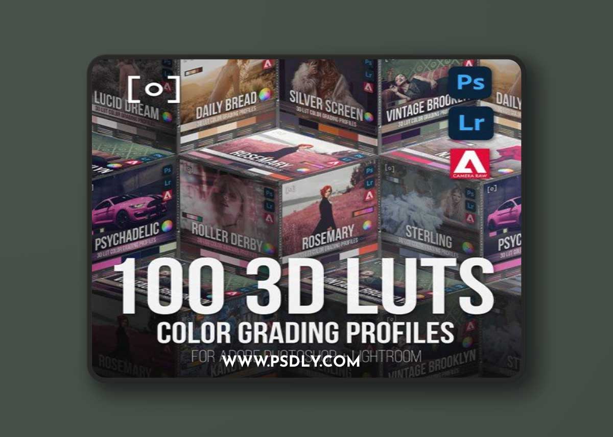 PRO EDU - 100 3D LUT Profiles