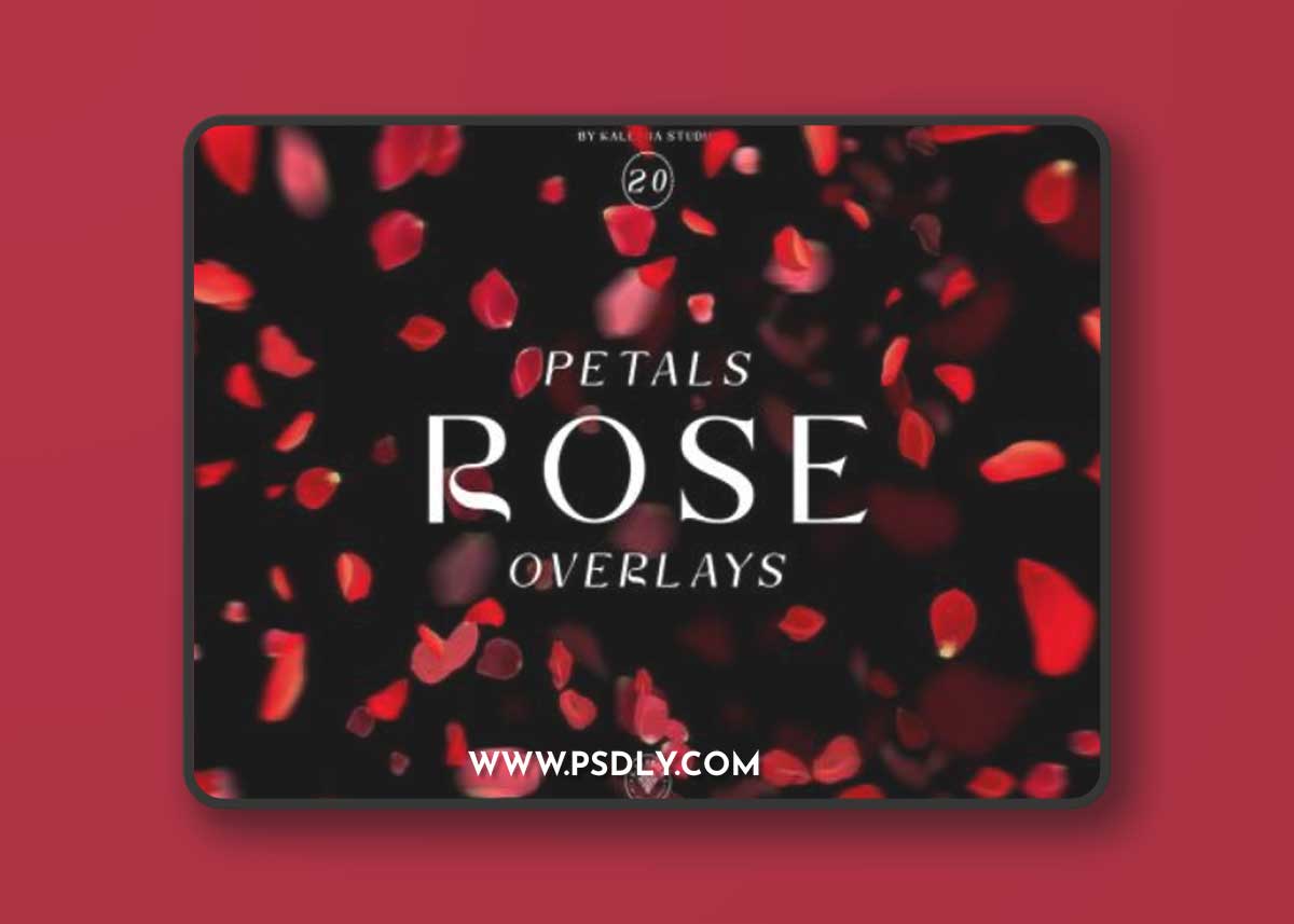 Rose Petals Overlays