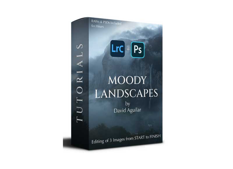 David Aguilar - Moody Landscapes