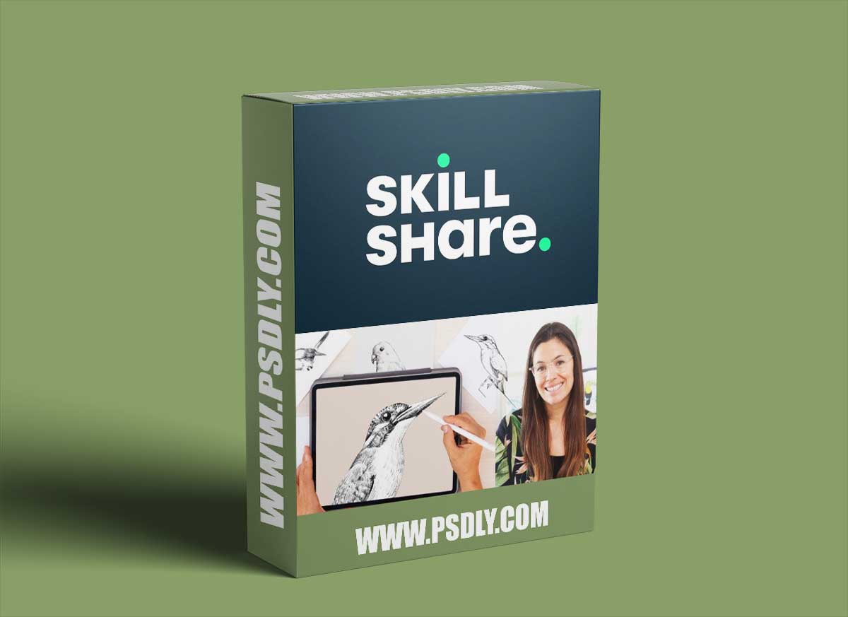 Drawings Birds in Procreate: From Sketch to Mastery