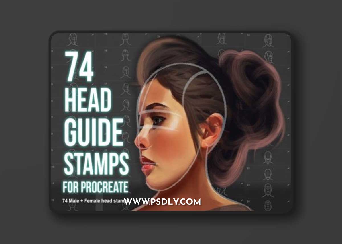 Head Guide Stamps for Procreate 88132901