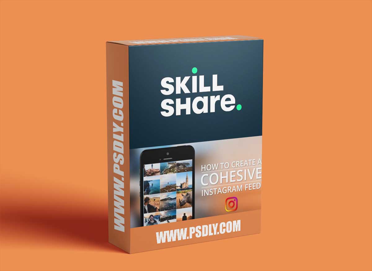 How to Create a Cohesive Instagram Feed | Using Adobe Lightroom