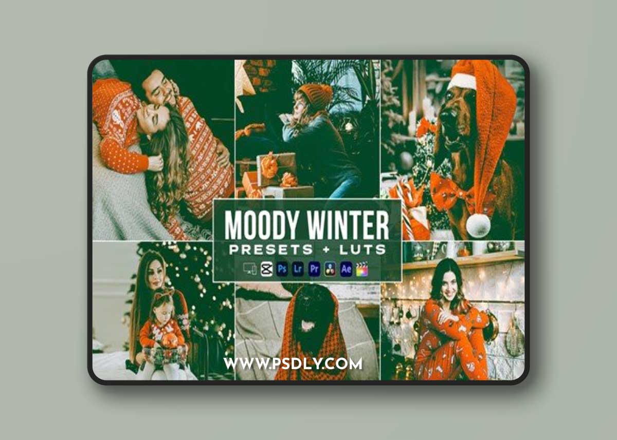Moody Winter Luts + Presets Mobile & Desctop ME3RGW2