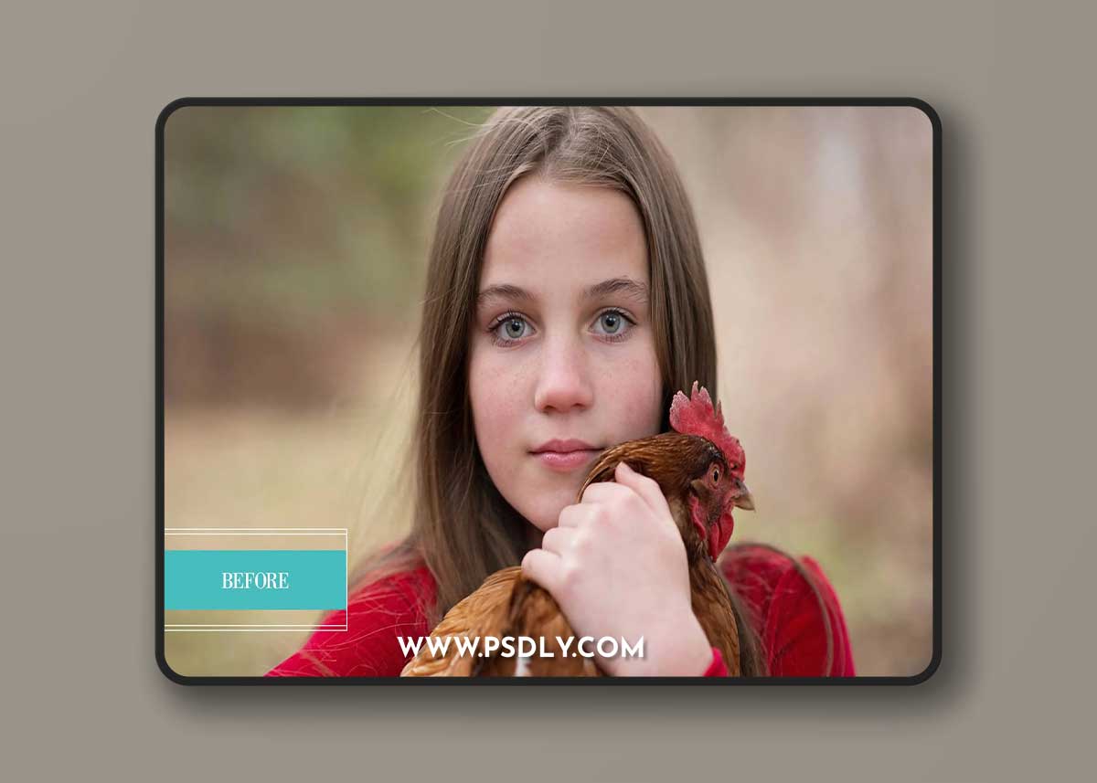 Pretty Presets - Luminous Presets Collection