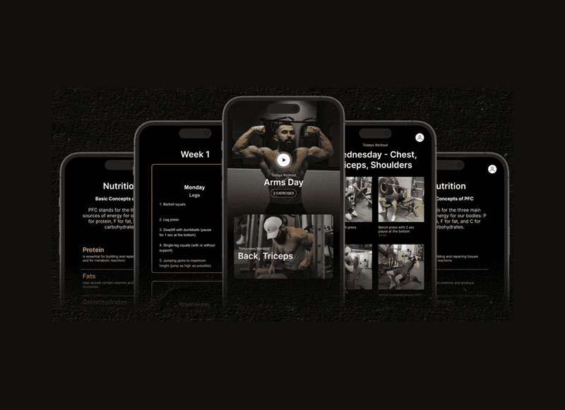 Shmondenko Vladimir – Powerbuilding Program