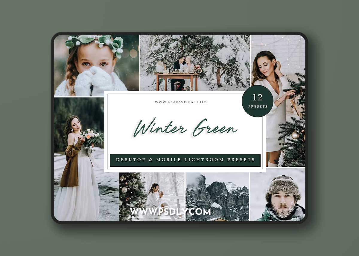 Winter Green - Lightroom Presets HSPDRAW