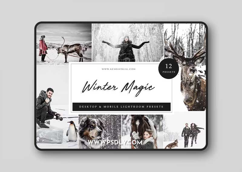 Winter Magic - Lightroom Presets E8WPELB