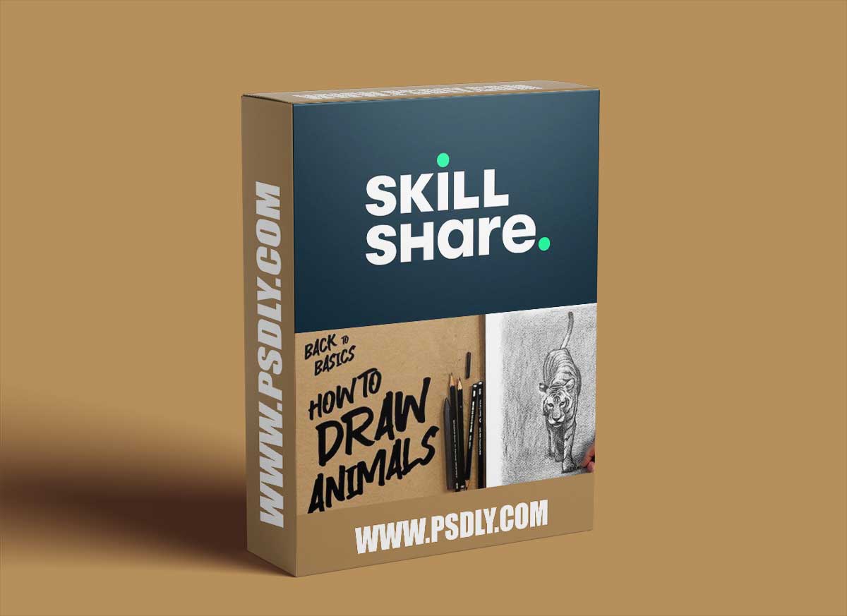 Back to Basics: How to Draw Animals