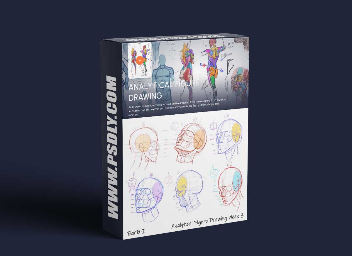 CGMA - Michael Hampton - Analytical Figure Drawing (Parts 1 and 2)