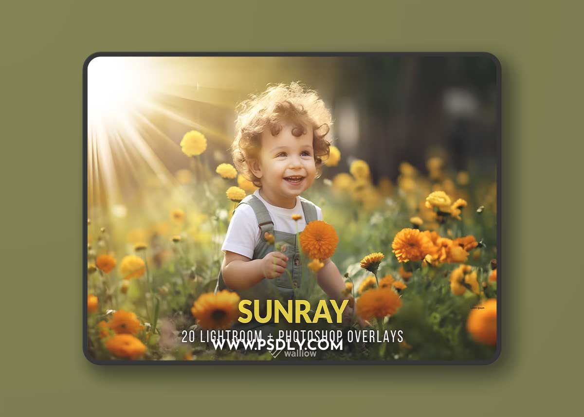 Creativemarket - Realistic sunlight overlays PNG and JPG