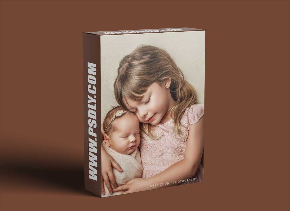 Gabby Chung - Six-Figure Photography Business Formula