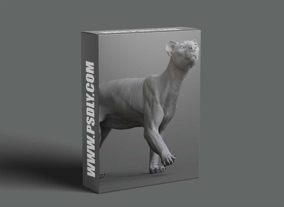The Gnomon Workshop - Animal Anatomy - Modeling a Fossa