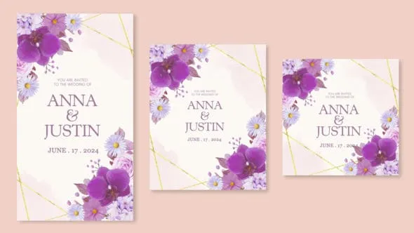 Videohive Wedding Invitation Intro 50725622