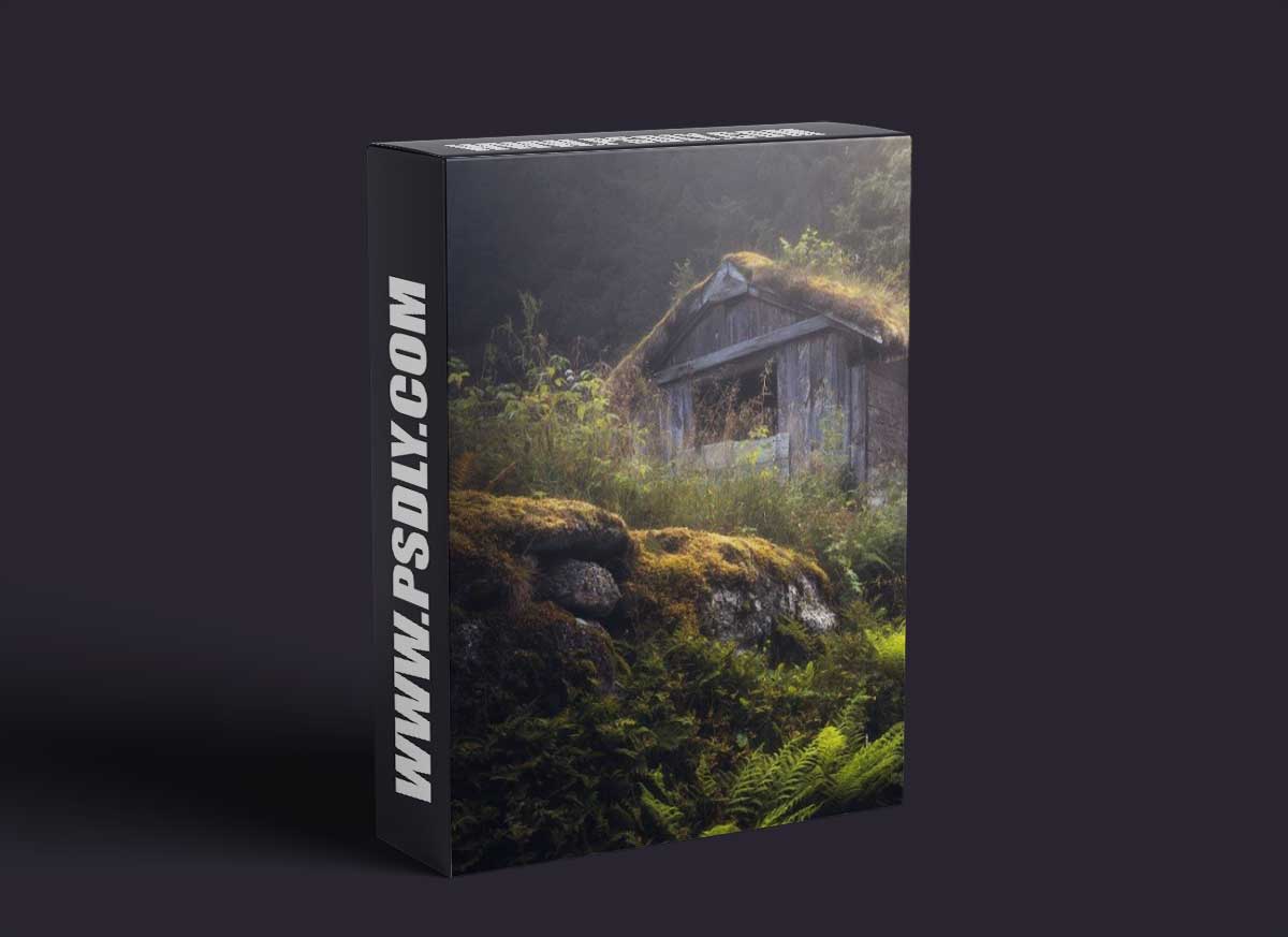 Fredrik Stromme - Haunted House