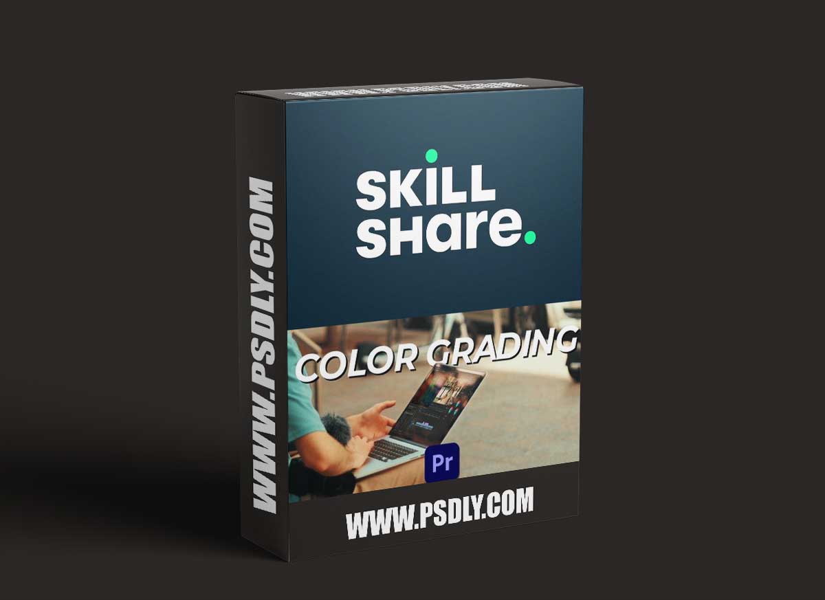 Into to Color Correction & Grading in Premiere Pro