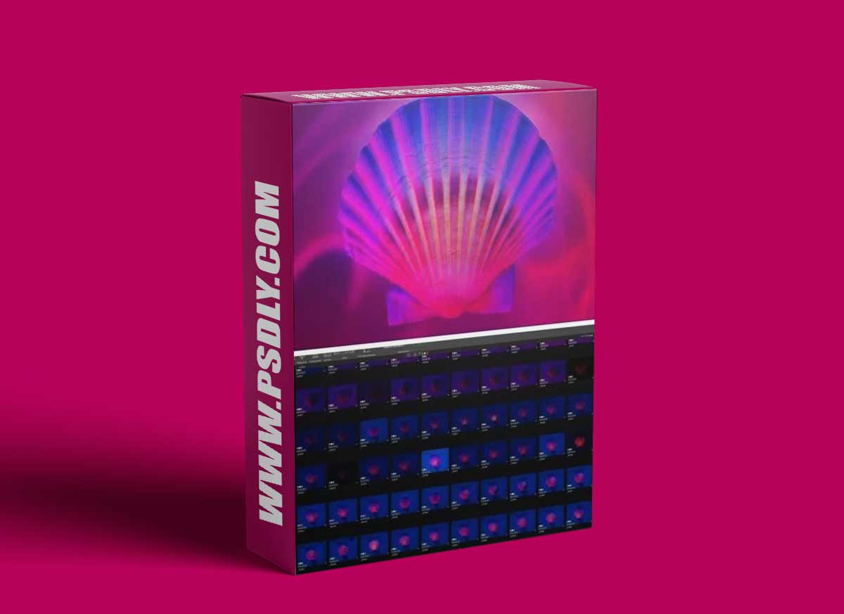 Karl Taylor Photography - Wall Art Shells: Psychedelic Vibes