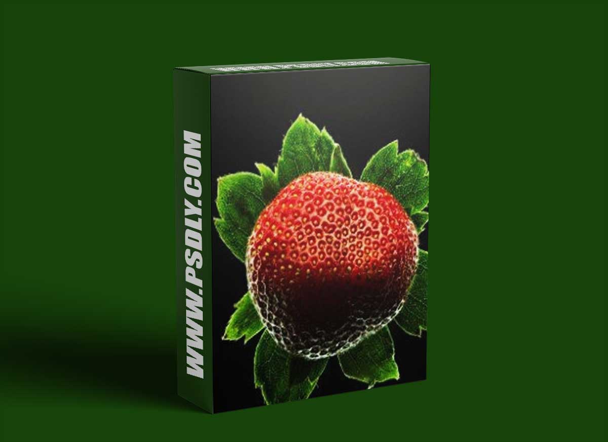 Photigy - Organic Image of your favorite thing Workshop