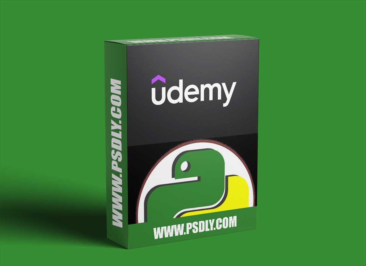 PyQuest 5000: The Built-In Report