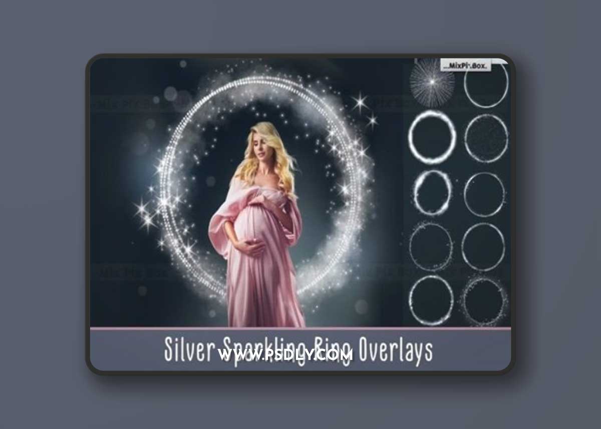 Silver Sparkling Ring Overlays 93151023