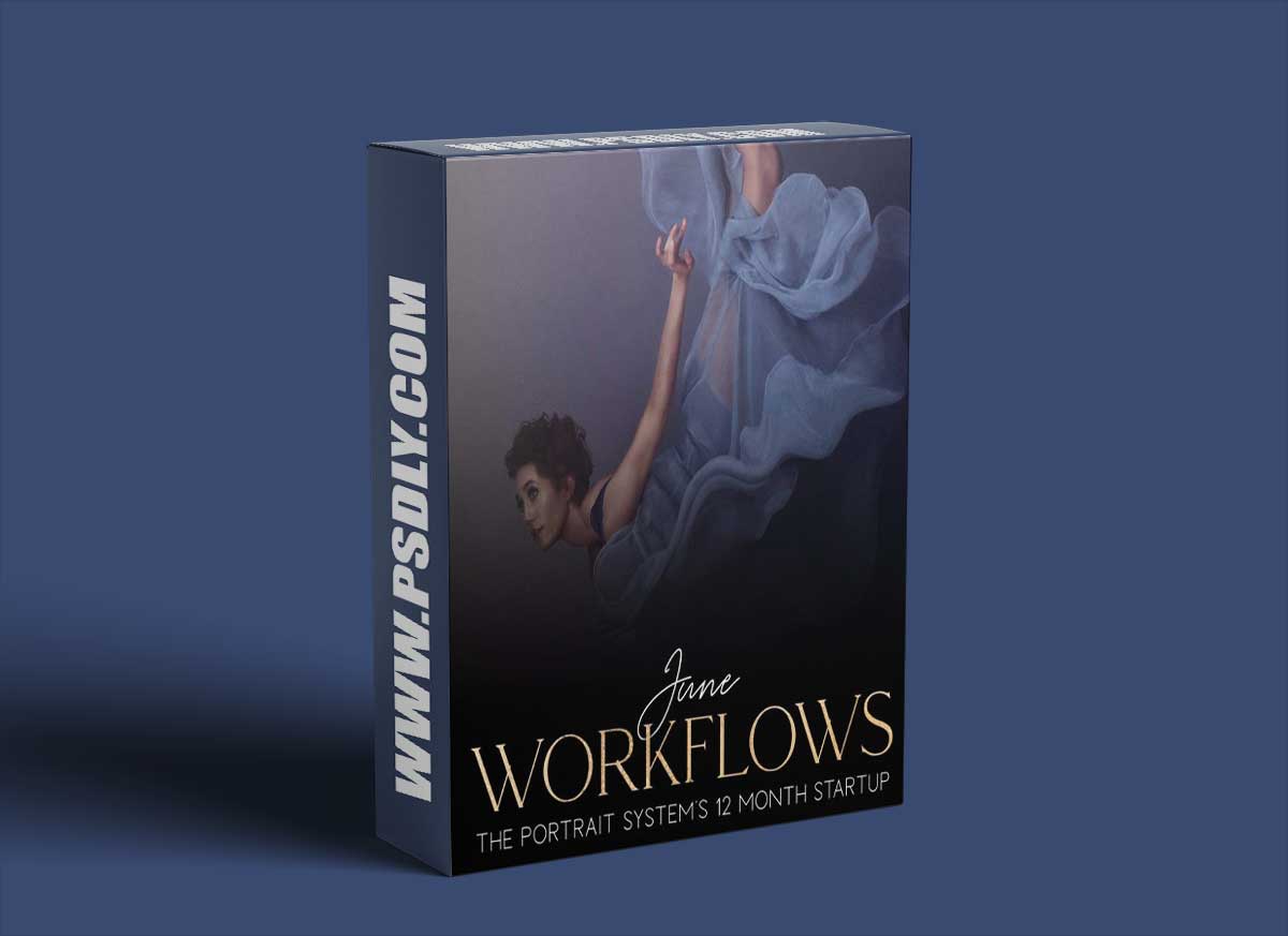 The Portrait System - 12 Month Startup Month 06 - Workflow