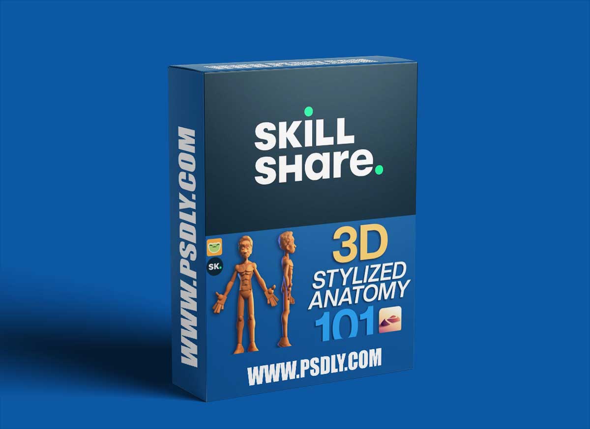 3D Stylized Anatomy 101 with Drugfreedave