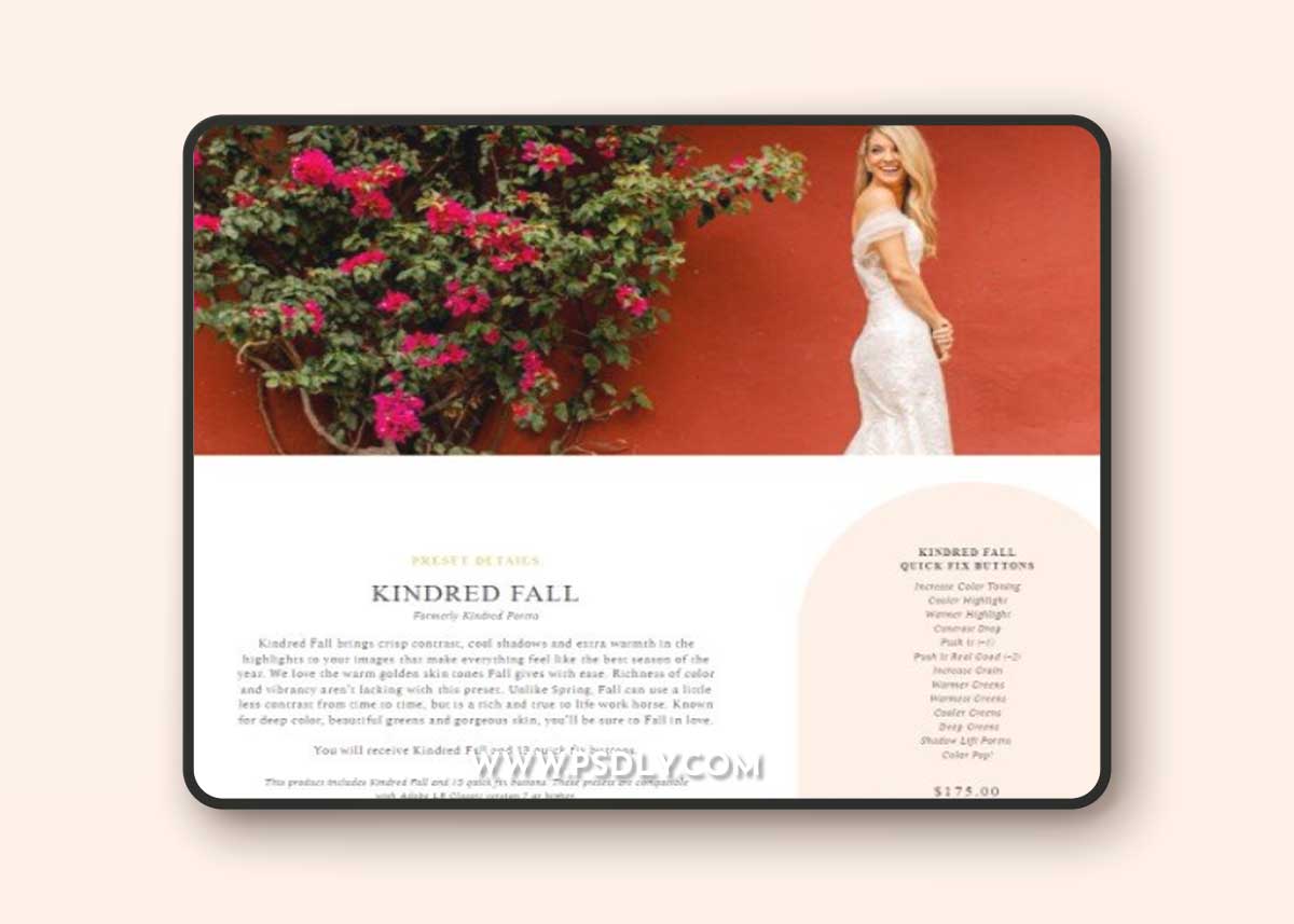 Kindred - Portra 400 (Fall)