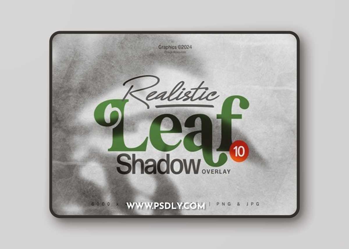 Realistic Leaf Shadow Overlay 2KQGKHH