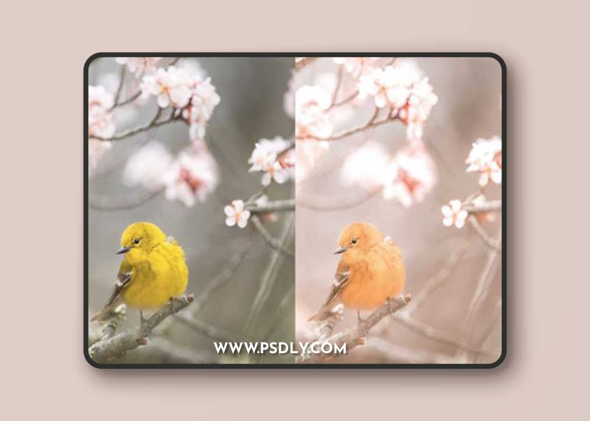 Spring Season Lightroom Preset